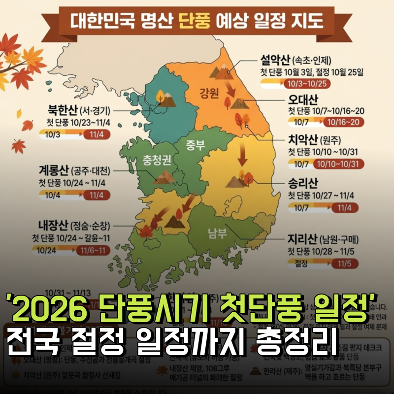 2026단풍시기 전국 첫단풍 절정 일정 총정리(설악산~내장산까지)