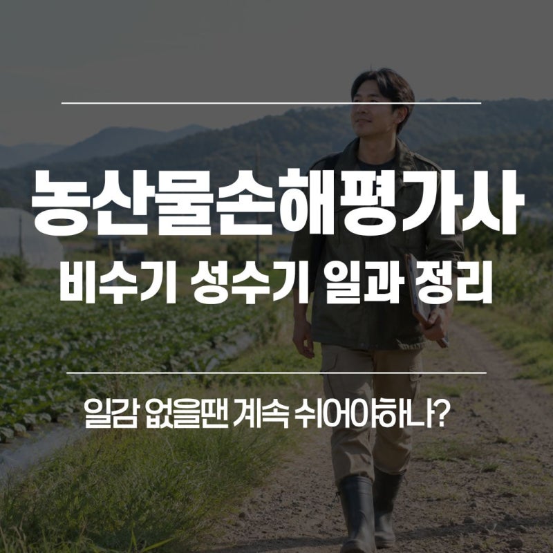 농산물 손해평가사 일감 없을땐 계속 쉬어야하나? 비수기와 성수기 일과 정리