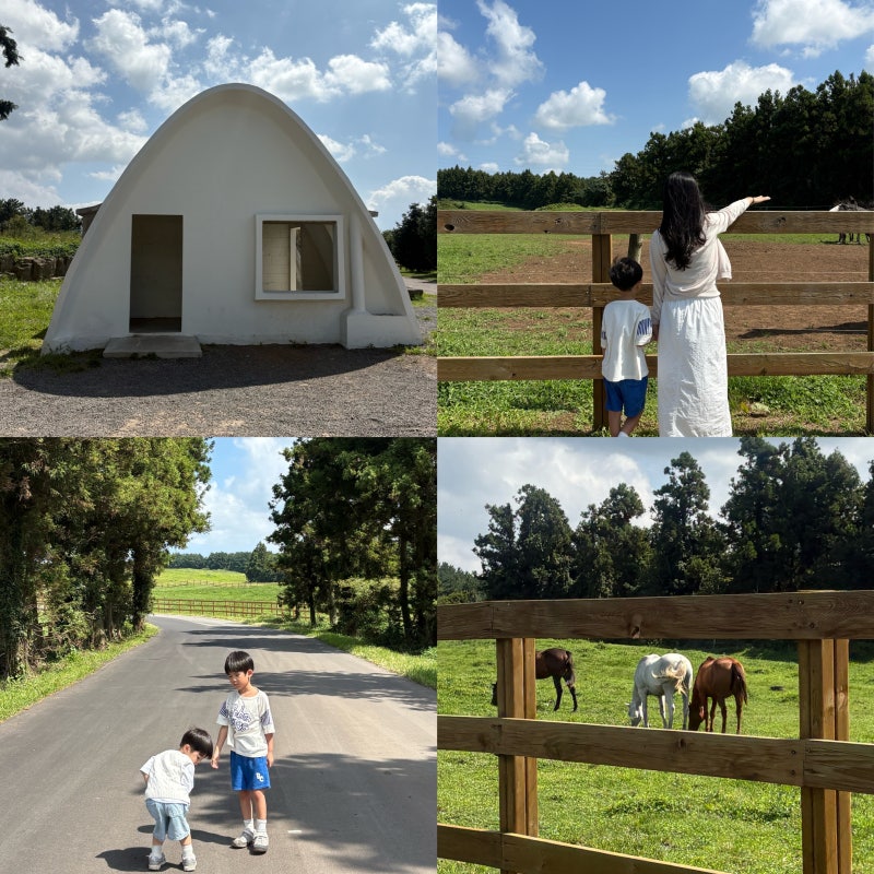 Jeju West Trip with Kids: Isidor Ranch Photo Zones and Review