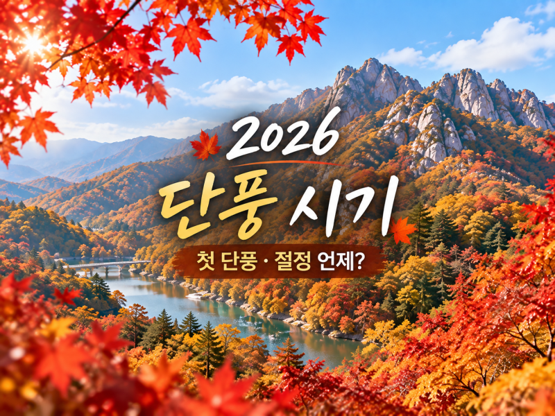 2026 단풍 시기 지도 첫 단풍 절정은 언제?(+화담숲 설악산 내장산)