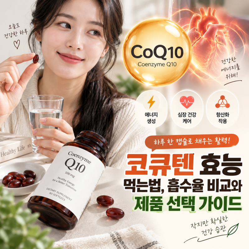 코큐텐 효능 먹는법, 흡수율 비교와 제품 선택 가이드