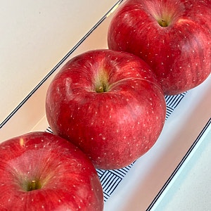 경북 사과 홍로 햇사과 달콤하고 아삭한 제철 사과 추천, 신맛이 강하지 않아 아이도 잘 먹는....
