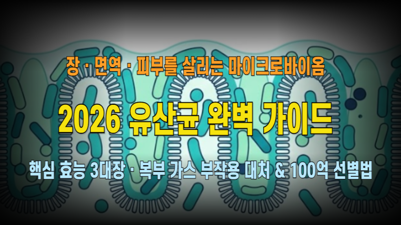 2026 유산균(프로바이오틱스) 완벽 가이드: 장 건강·면역·피부 축(Gut-Skin Axis) 핵심 효능부터 ....