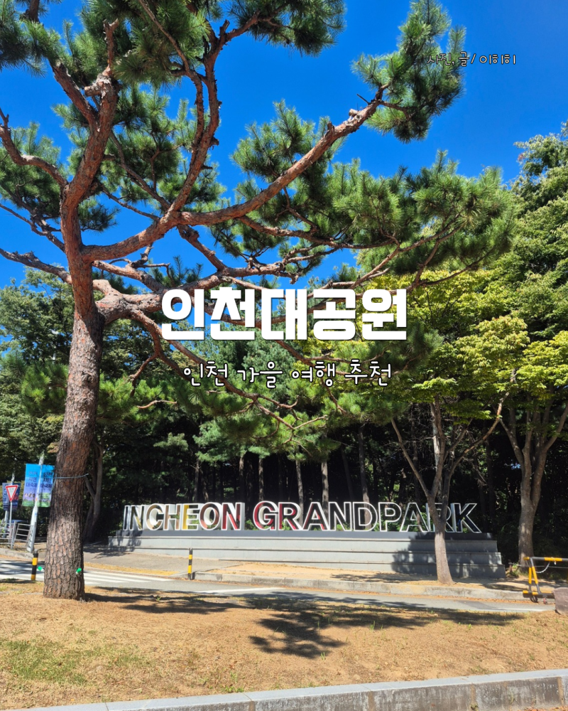 가을감성 가득 인천대공원 서울근교 가을여행지 추천 인천 가을 축제