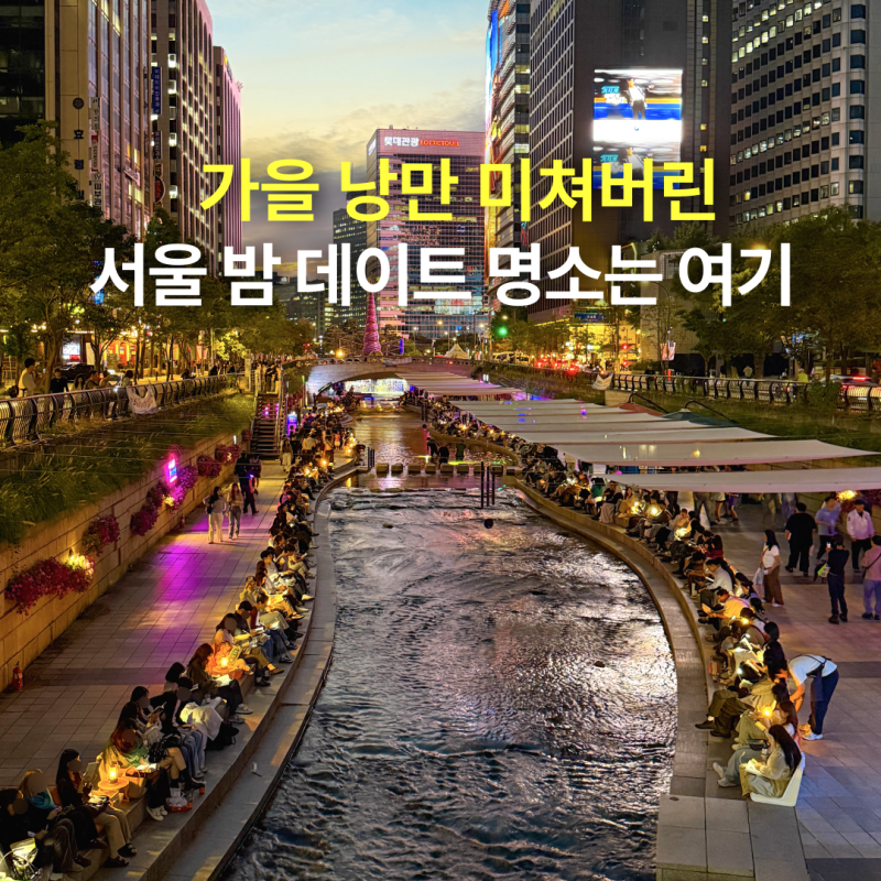 '가을 낭만 미쳐버린' 종로 밤 데이트 야경 명소 청계천 서울야외도서관 위치, 일정, 이용방....