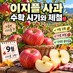 이지플 사과 품종 특징과 맛, 제철 시기까지 알아보기