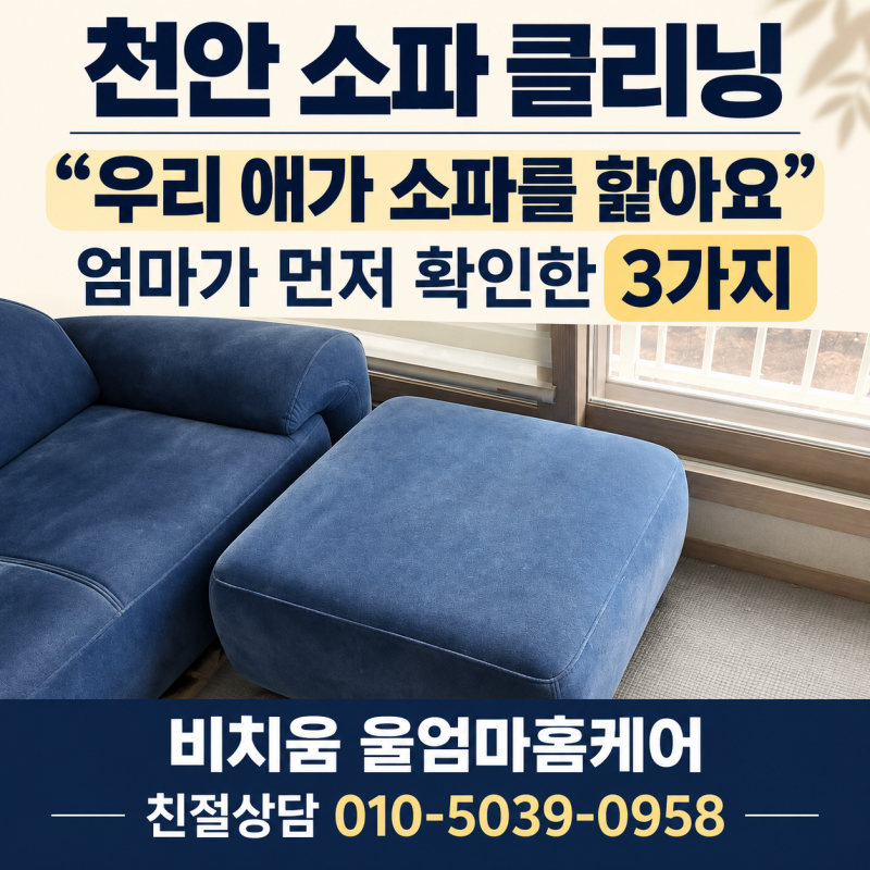 천안 소파 클리닝, "우리 애가 소파를 핥아요" 엄마가 먼저 확인한 3가지