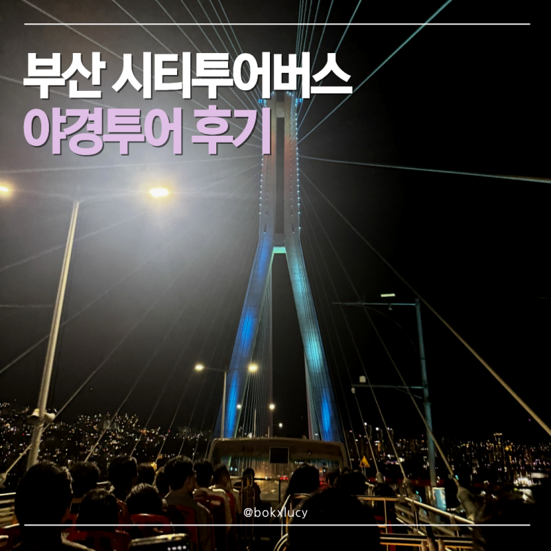 부산 야경시티버스투어 2층 후기 | 예약 · 이용방법 | 내돈내산 후기