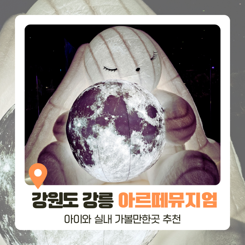 강릉 아르떼뮤지엄 아이와 실내 가볼만한곳 할인 주차 후기