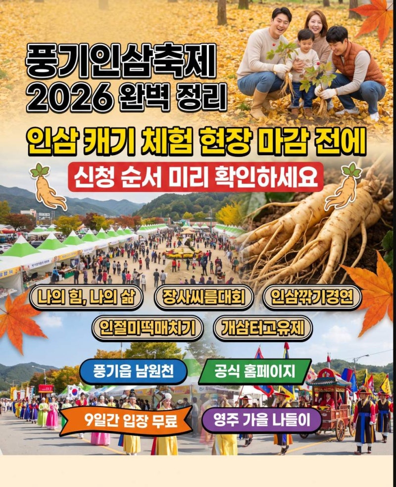 가족이랑 영주 가을 나들이 계획 중이라면, 풍기인삼축제 인삼 캐기 체험 미리 확인하세요