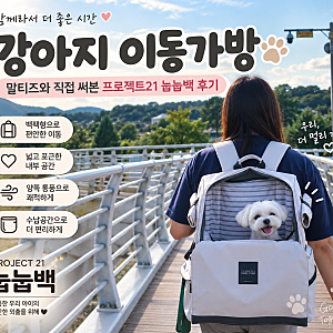 강아지 이동가방 추천, 말티즈와 직접 써본 프로젝트21 눕눕백 후기