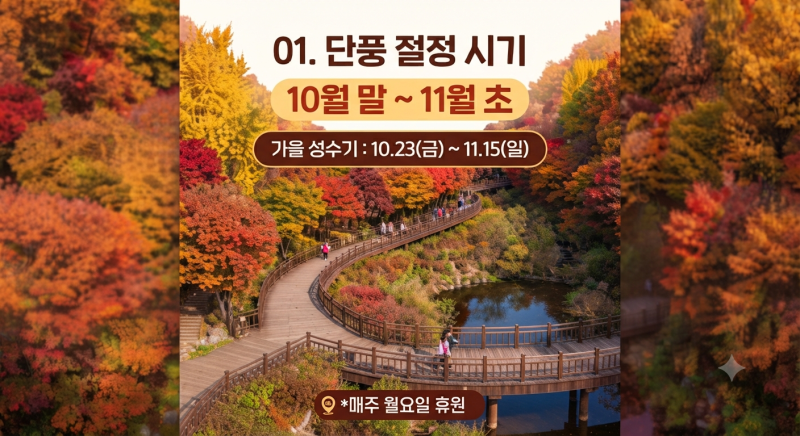 [경기도 광주] 2026 화담숲 단풍 절정시기, 예약방법·사이트, 모노레일 꿀팁 총정리