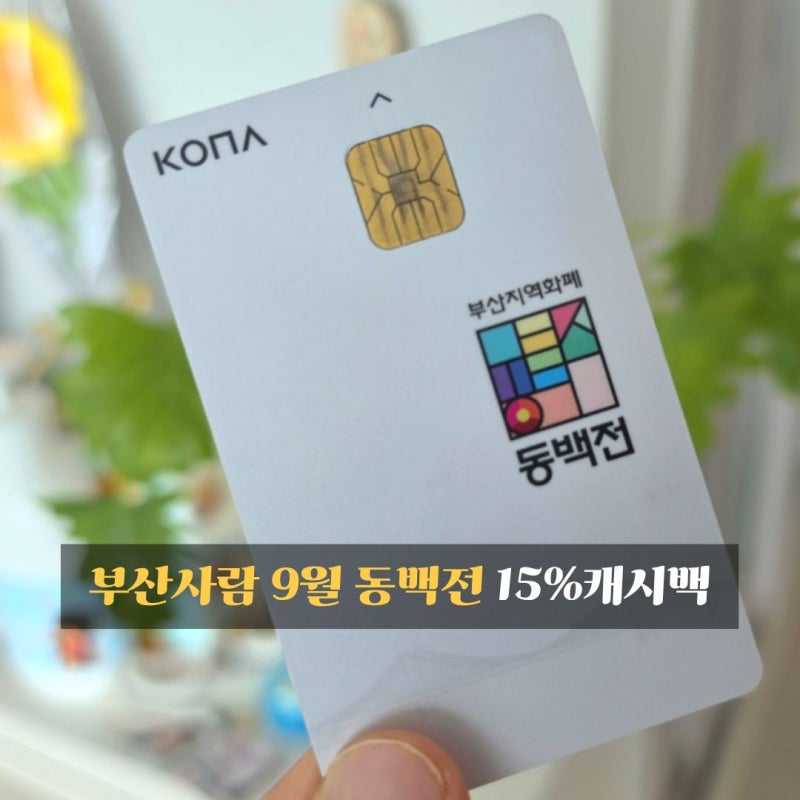 부산 사람 9월 동백전 안 쓰면 손해에요! 최대 15% 캐시백부터 추석쿠폰까지