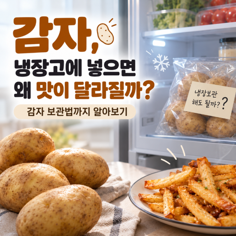 감자는 냉장고에 넣으면 왜 맛이 달라질까? 감자 보관법까지 알아보기
