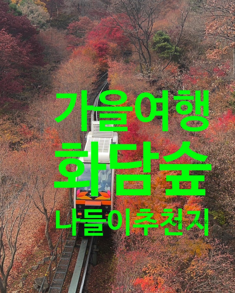 화담숲 예약 성공 꿀팁 총정리｜LG전자 지인 예매 모노레일 단풍시기