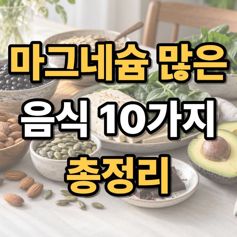 마그네슘 많은 음식 10가지 총정리 하루 식단에 쉽게 챙기는 방법