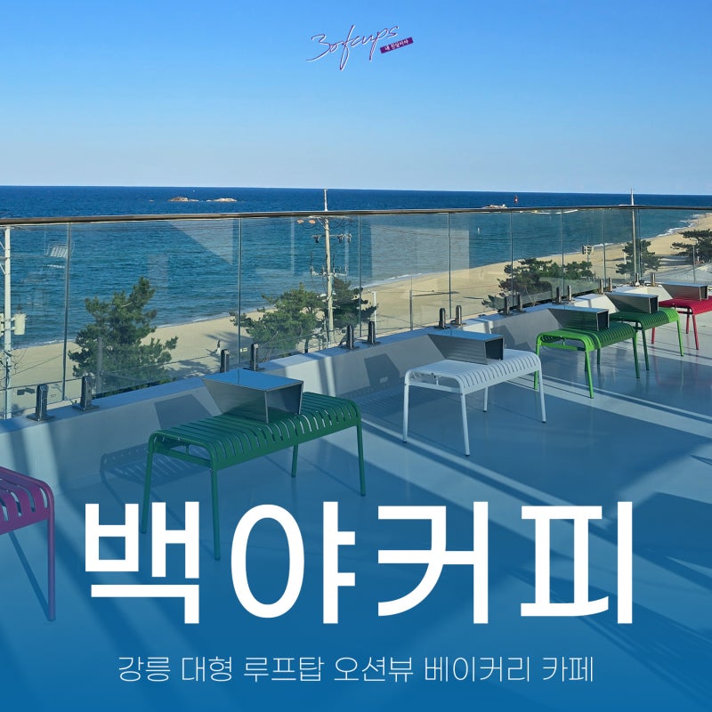 강릉 대형 배이커리 오션뷰 카페 백야커피 사근진해변 근처 카페