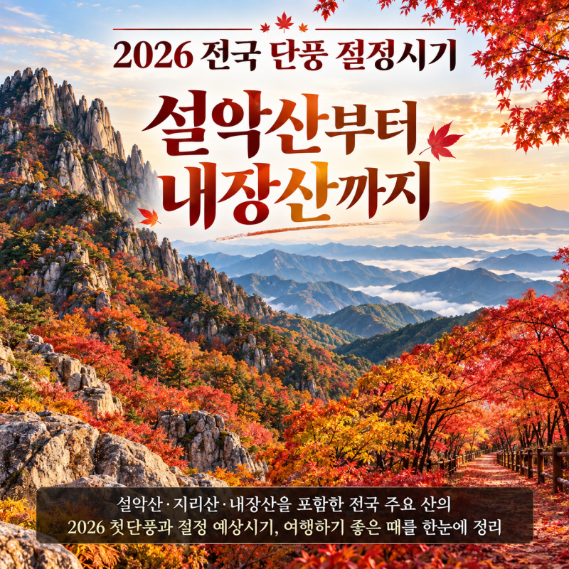 2026 설악산 단풍시기부터 내장산·지리산까지 전국 단풍 절정시기와 여행하기 좋은 때