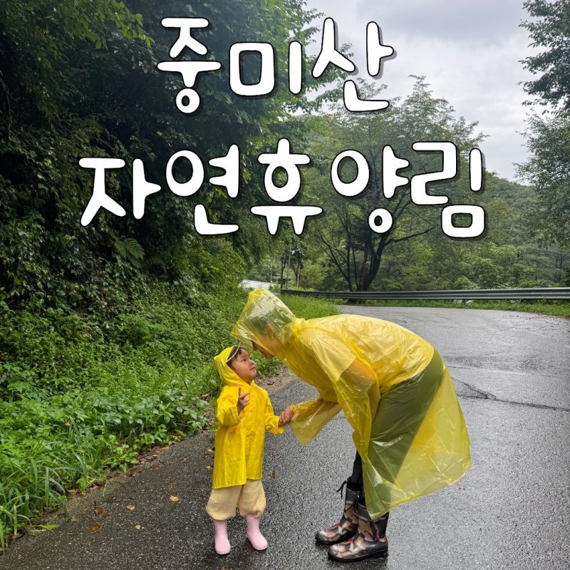 중미산 자연휴양림 연립동 2주연속 방문기(이유가 있음)
