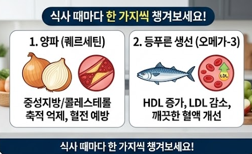 혈관 청소부?｜고혈압·고지혈증에 좋은 음식과 식단 가이드