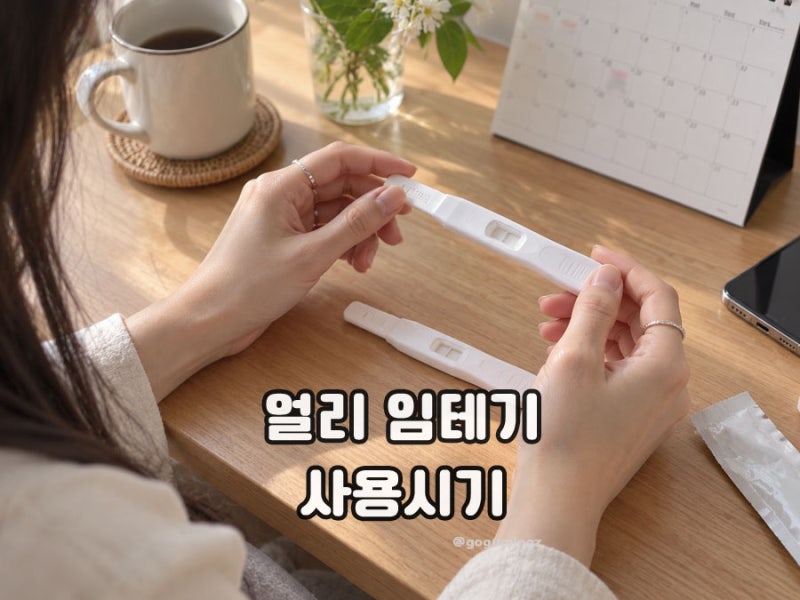 얼리 임테기 사용시기, 테스트기 사용법 총정리