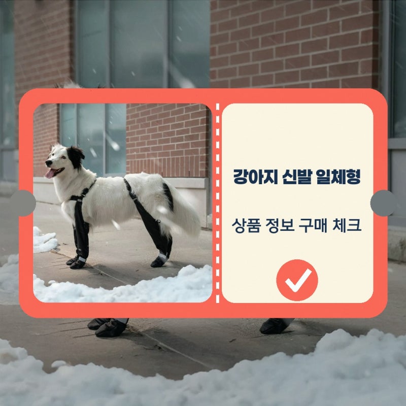 논슬립 미끄럼방지 일체형 강아지 신발 노는 개 최고양 일체형 논슬립 미끄럼방지 상품 정보....