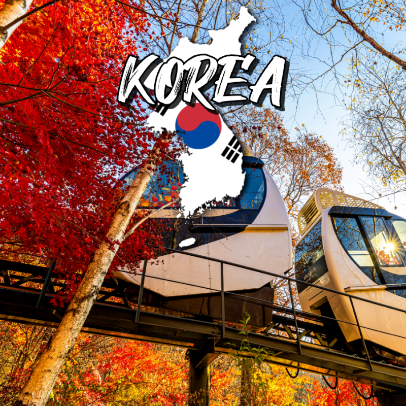 2026 화담숲 예약 방법 화담채 모노레일 입장료 곤지암 놀거리