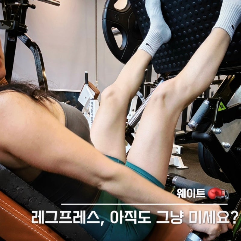 레그프레스 발 위치 3가지, 허벅지 앞.엉덩이.안쪽 어디에 둘까?