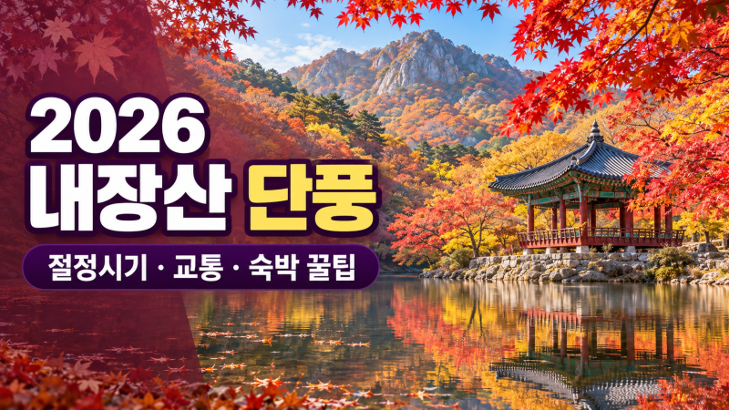 내장산 단풍 행사 2026 일정 날자 시기 ( +숙박 교통 등산 꿀팁 절정시기) 에 대하여 .....