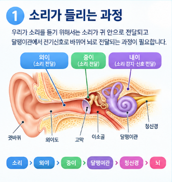 전음성 난청? 감각신경성 난청? 혼합성 난청?난청도 원인에 따라 종류가 다릅니다