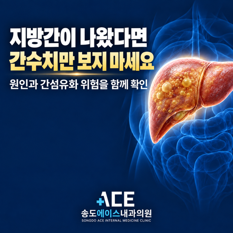 건강검진에서 지방간, 간수치가 정상이어도 관리가 필요한 이유
