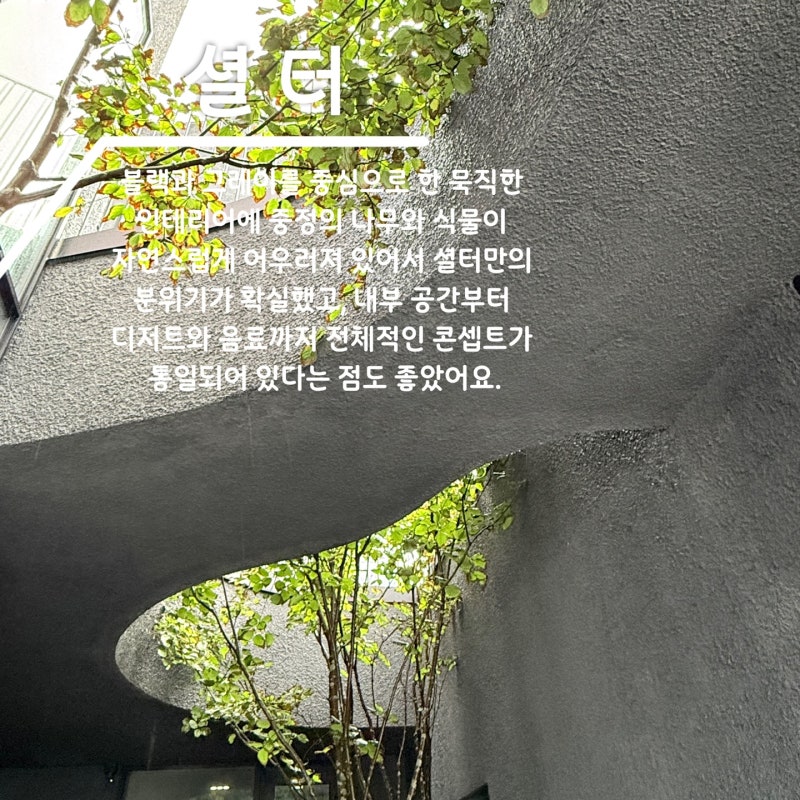 속초 감성카페 셜터, 공간부터 특별했던 곳