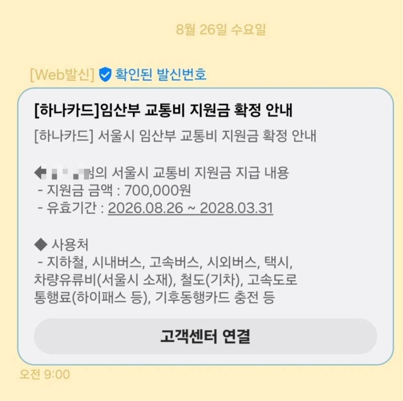 서울시 임산부 교통비 지원 70만원 사용법 사용 기한 잔액조회
