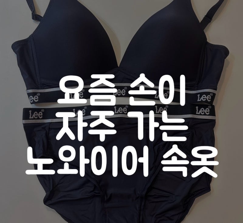 Lee 바디웨어 퍼포먼스 셀론 노와이어 브라 & 브리프 세트 | 편하게 입기 좋은 기능성 속옷 후....