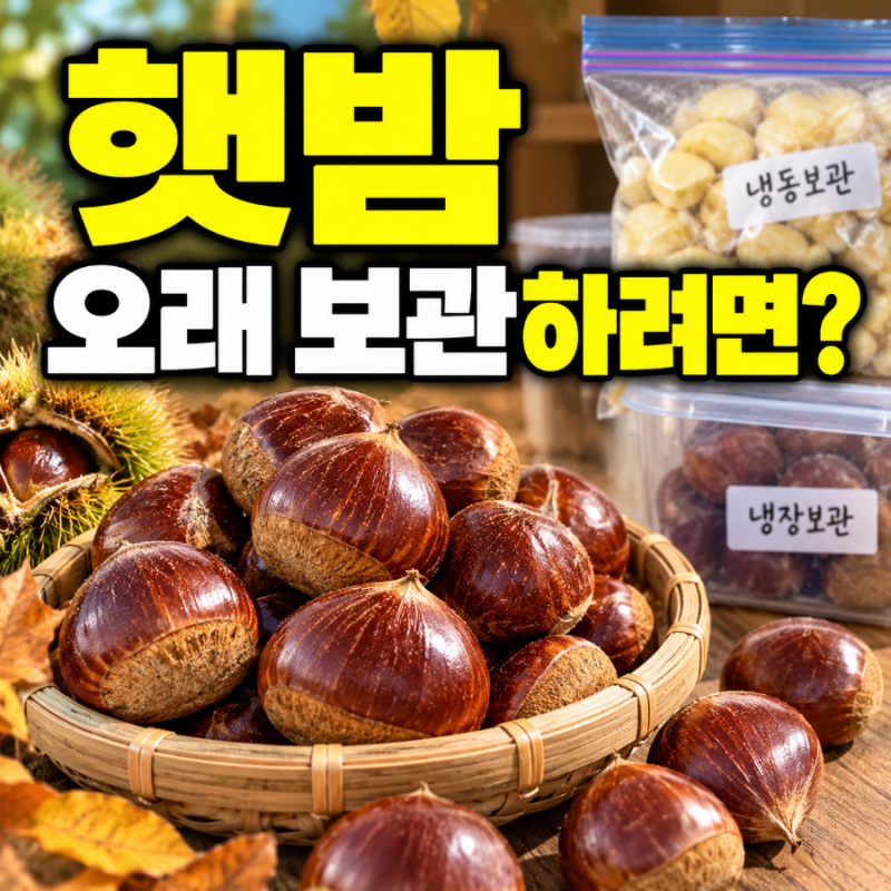 햇밤 보관법 냉장·냉동 뭐가 좋을까? 벌레 안 생기게 오래 보관하는 법