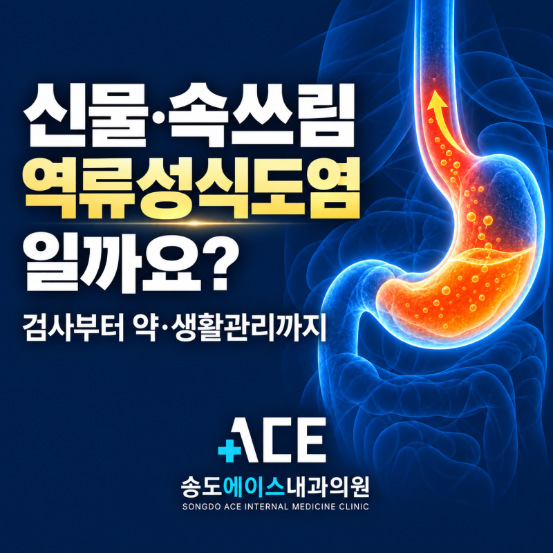 신물·속쓰림, 역류성식도염일까요? 위내시경 검사와 약·생활관리