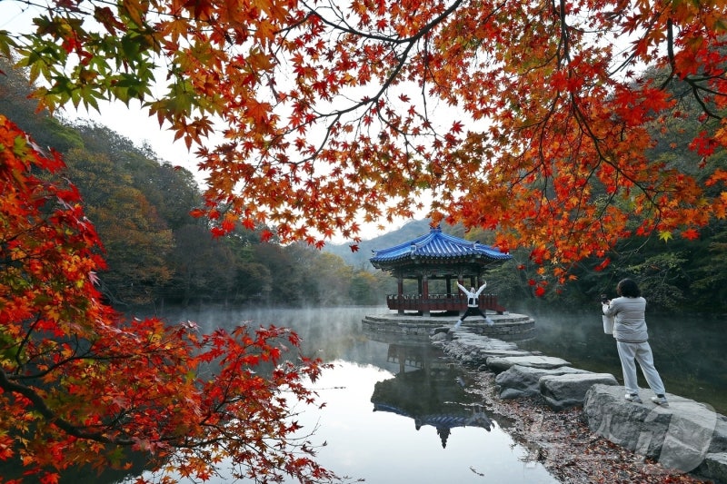 2026 단풍시기 지도 총정리, 설악산부터 한라산까지 전국 단풍 절정 예상일