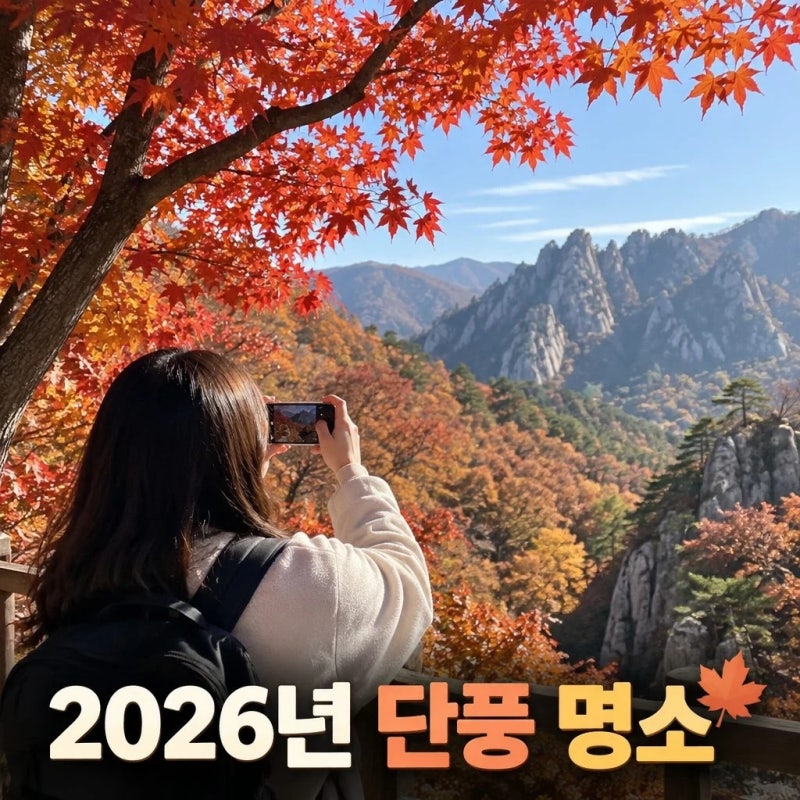 2026년 강원도 단풍 명소