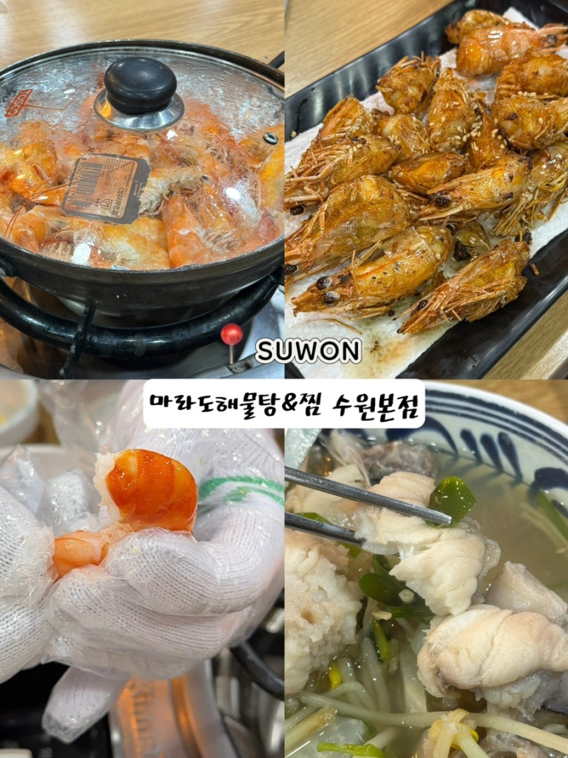 [수원 왕새우소금구이] 인계동 마라도해물탕&찜 수원본점, 단골이 먹어본 제철 새우 후기