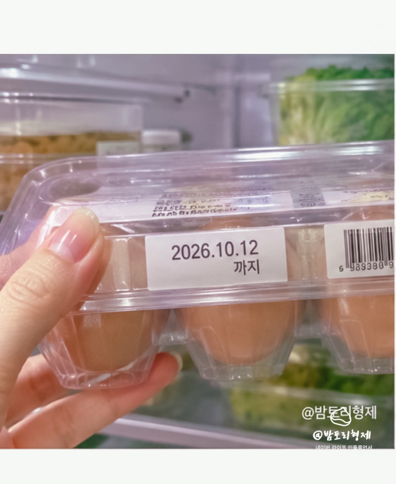 계란 유통기한 지났다면? 삶은 구운 계란 소비기한 총정리