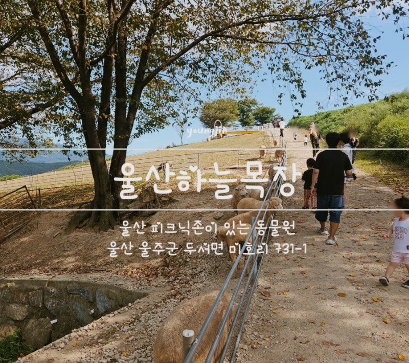 울산 실내 동물원 하늘목장