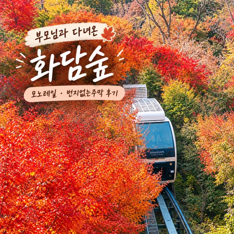 화담숲 모노레일 꼭 타야 할까? | 부모님과 다녀온 화담숲 방문전 필수체크