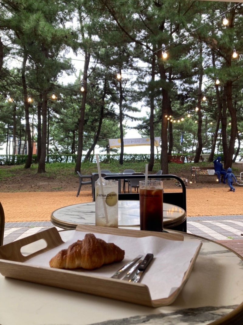 [강릉] 안목해변 신상 베이커리 카페 곤트란쉐리에 강릉점