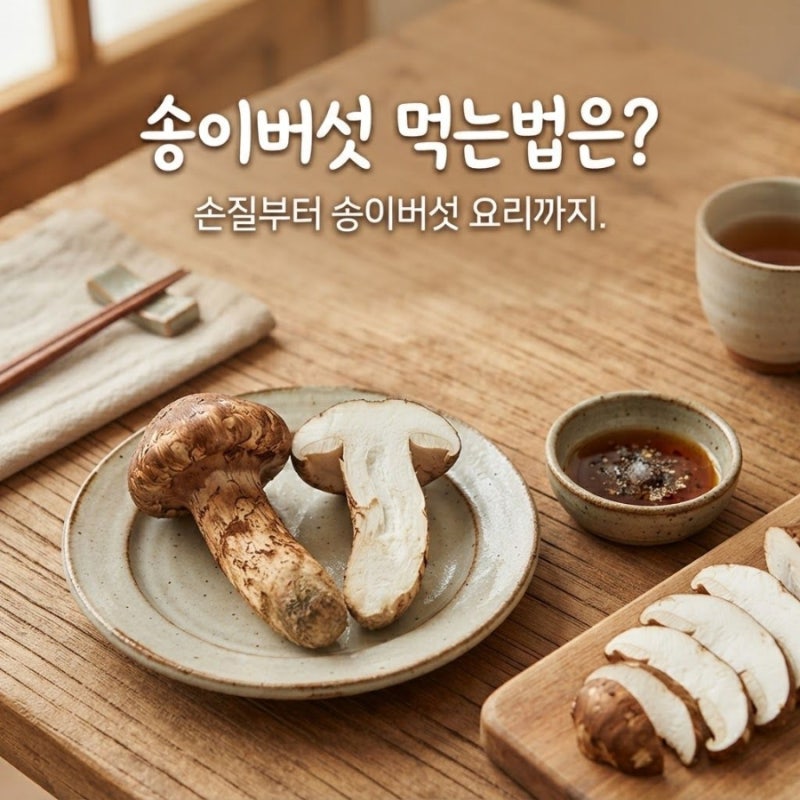 송이버섯 먹는법은? 손질부터 송이버섯 요리까지