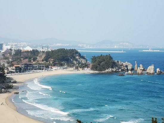 나혼산 김대호도 다녀온 삼척, 용화해수욕장부터 숙소까지 1박2일 코스