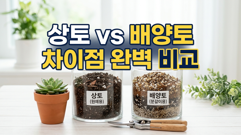 원예용 상토 배양토 차이 알고 분갈이 흙 식물별 황금 조합 만들기