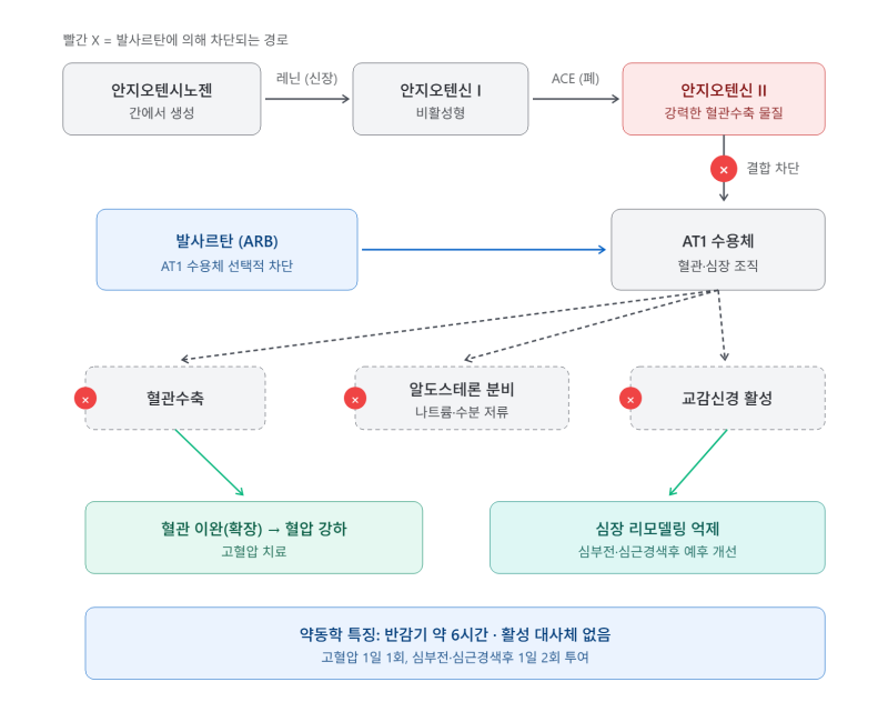 발사르탄(Valsartan) / 디오반.고혈압.본태성고혈압.심부전