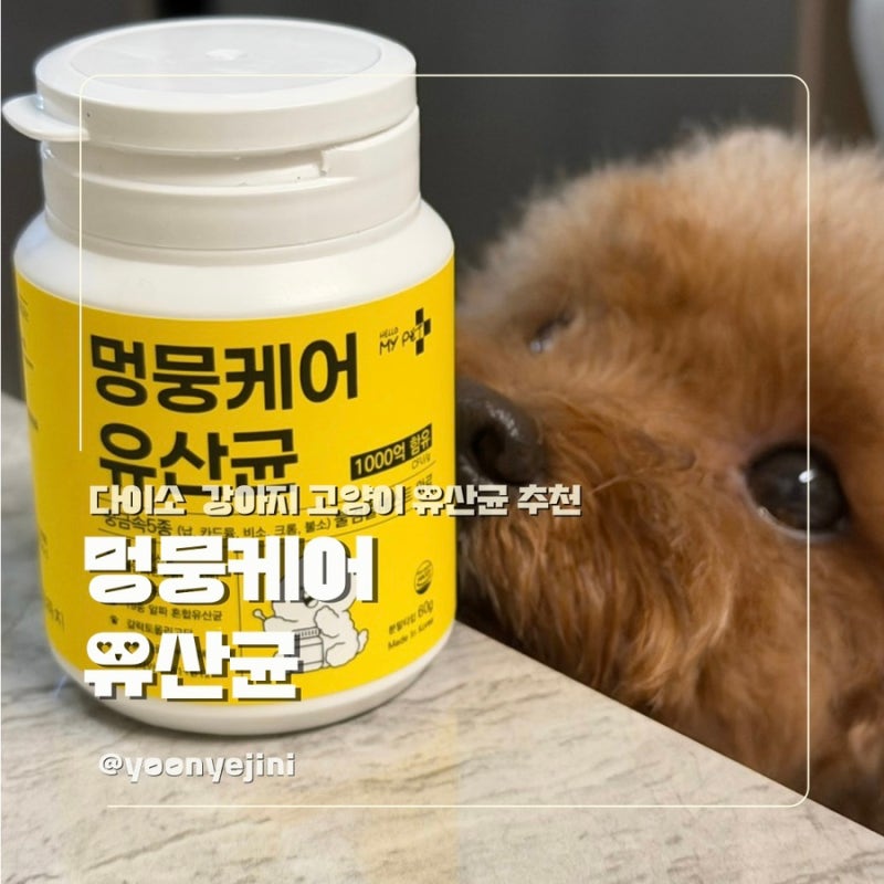 다이소 멍뭉케어 유산균 ｜ 다이소 강아지 고양이 유산균 내돈내산 후기