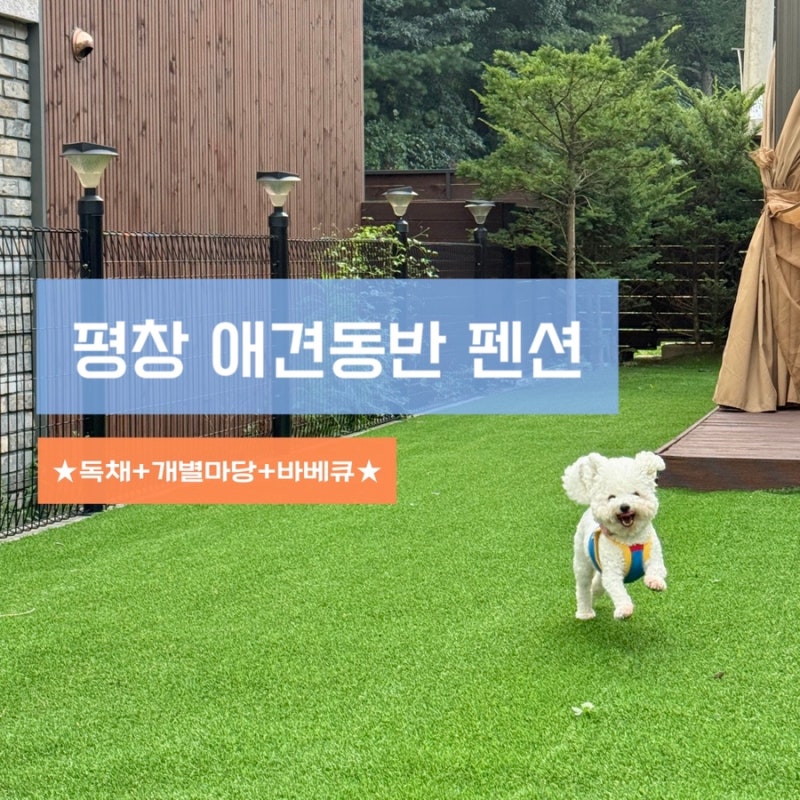 강원도 평창 애견동반 펜션ㅣ풀멍펜션 개별마당 바베큐 독채 숙소