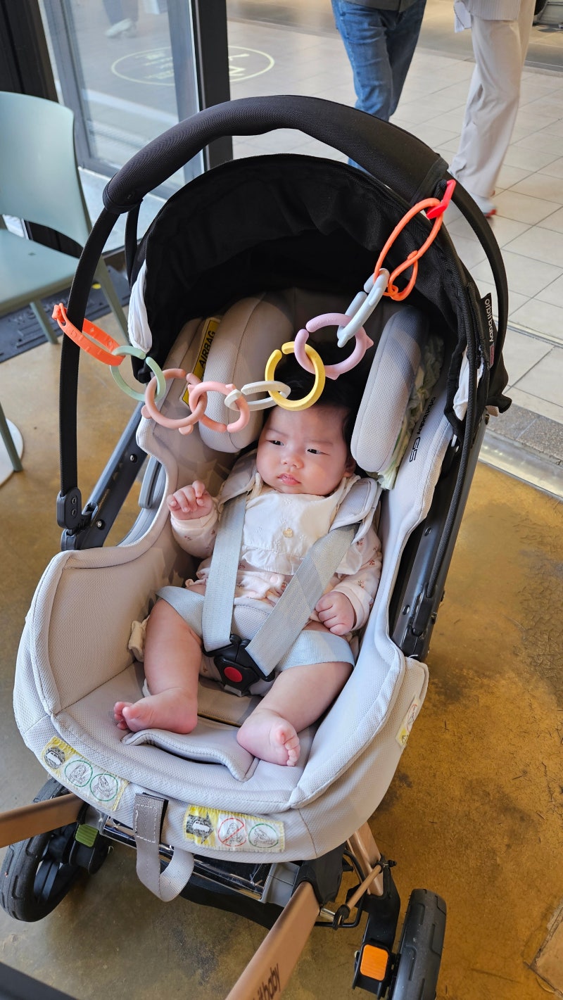 유모차 3종 비교, 오르빗 G5·다이치 스무즈·부가부 비6 직접 써본 후기